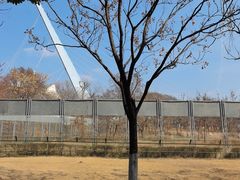 -合肥野生动物园