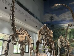 -自贡恐龙博物馆