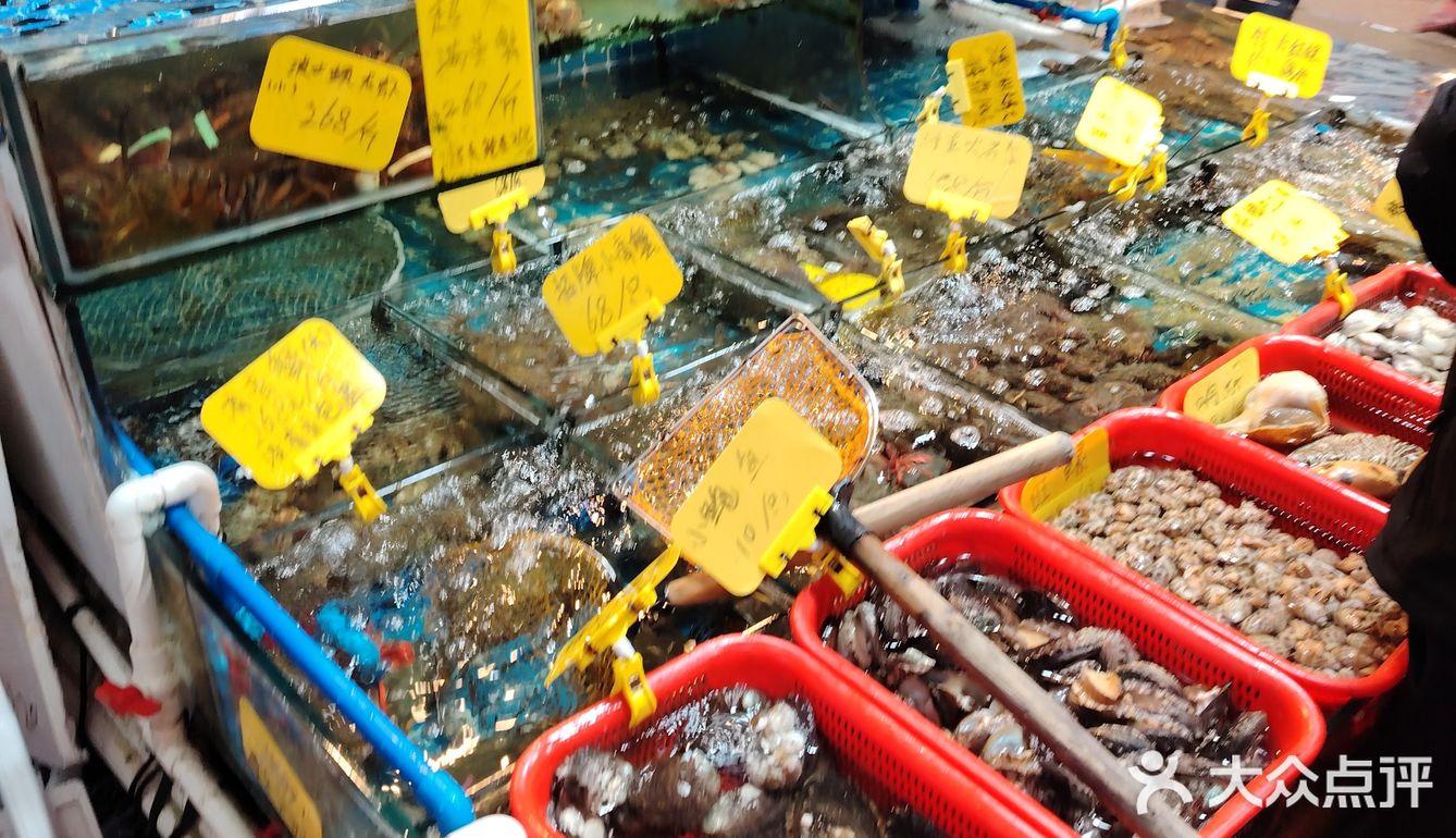 打卡三金大排档