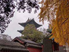 -嵩山少林文化旅游景区