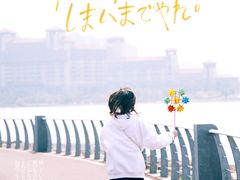 -九龙湖公园
