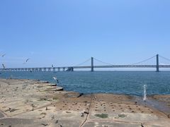 -星海广场