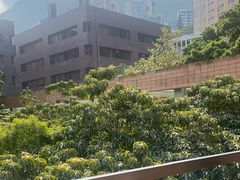 -香港大学