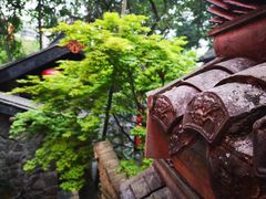 -鱼桥巷·美学川菜