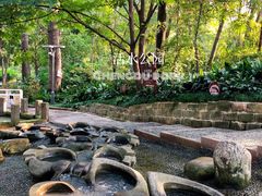 -成都市活水公园