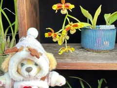 -国家植物园南园