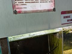 -上海大自然野生昆虫馆(东方明珠·爬宠昆虫探索中心)