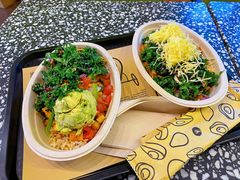 -油梨树AVOCADO TREE(顺义新国展店)