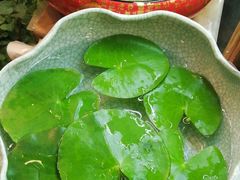 -双季花艺园艺市场(浦东店)