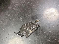 -味先肠粉(康王南店)