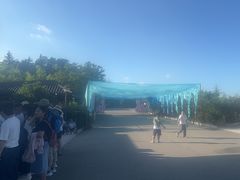 -威海华夏城景区