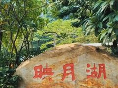-映月湖公园