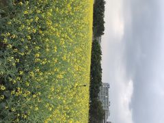 -光明小镇欢乐田园