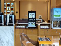 -成都安仁福朋喜来登酒店