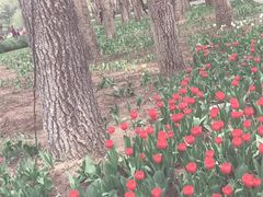 -长春公园(普阳街道)