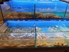 -太湖饭店玉兰厅(自助餐厅)