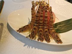 斑节虾-行家海鲜火锅酒家(静安寺店)