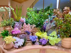 -BEAST野兽派(上海浦东嘉里城店)