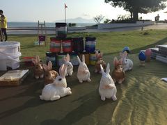 -采粤轩中餐厅(惠州金海湾喜来登度假酒店)