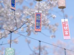 -顾村公园
