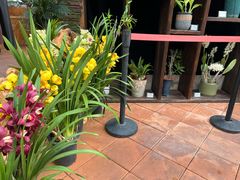 -国家植物园南园