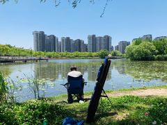 -新江湾城公园