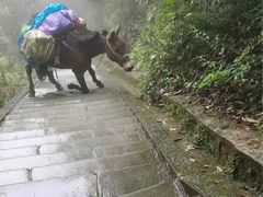 -峨眉山风景名胜区