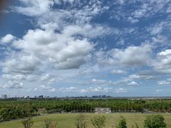 -春花秋色城市公园