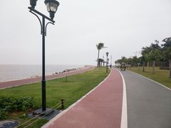 -野狸岛