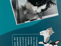 -美联众合动物医院·24h转诊中心