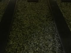 -纽斯洗浴SPA(三墩店)