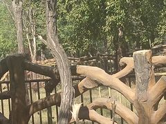 -秦皇岛野生动物园