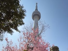 -龟山风景区-龟山电视塔