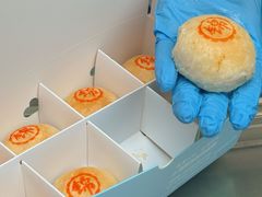 -上海新锦江大酒店