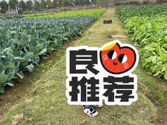 -花博汇(知音花月夜)