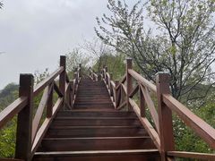 -大岭沟猕猴桃谷风景区