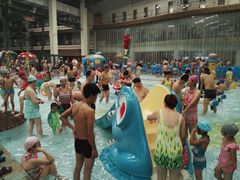 游乐设施-南宫温泉水世界