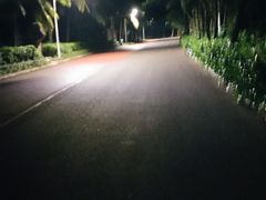 -万绿园