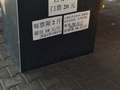 -将军石酒店温泉