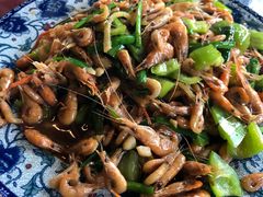 葱爆漓江虾-生态苑农庄(十里画廊遇龙河店)