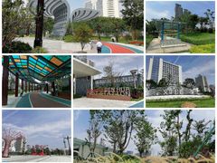 -文华公园(禅城区)