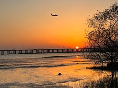 -宝安西湾红树林湿地公园