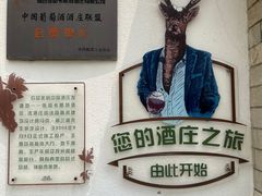 -张裕卡斯特酒庄