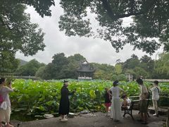 -西湖外事游船(花港观鱼码头)