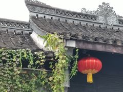 -绍兴鲁迅故里·沈园景区