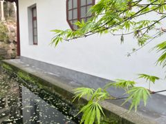 -西泠印社