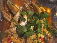 -千岛湖小鱼儿·淳安匠心农家菜