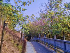 -白石龙音乐公园