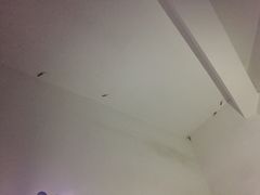 -天津津利华酒店