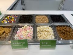 -Salud撒露欧洲冻酸奶(蓝色港湾店)